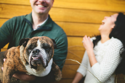 A Bulldog Family Park Frolic – Photo by Let's Frolic Together