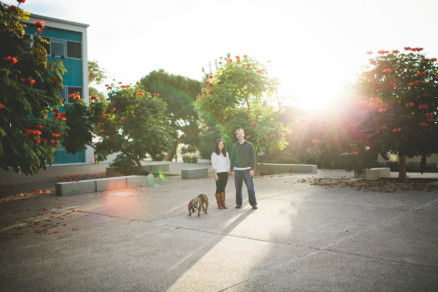 A Bulldog Family Park Frolic – Photo by Let's Frolic Together