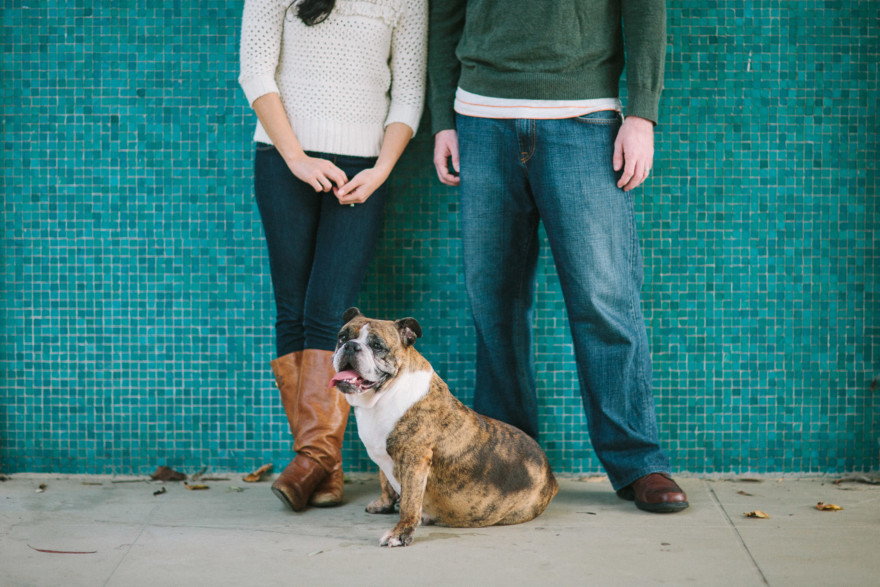 A Bulldog Family Park Frolic – Photo by Let's Frolic Together