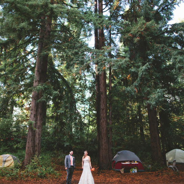 Dreamy Fog in the Redwoods