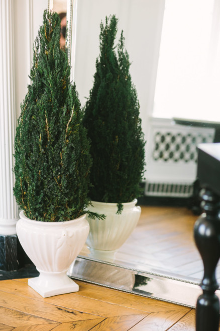 Sweet Morning Wedding at the Culver Hotel – Photo by Let's Frolic Together