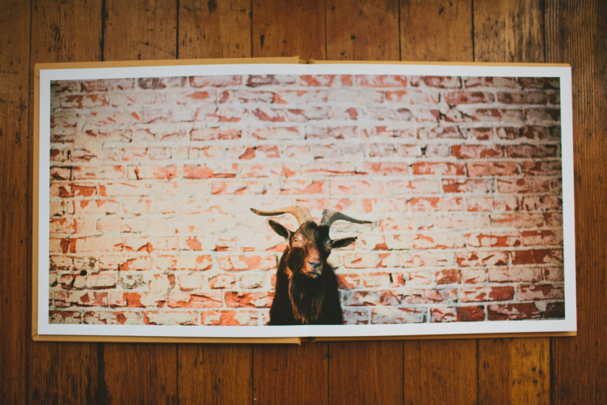 Crafting Your Story – Photo by Let's Frolic Together