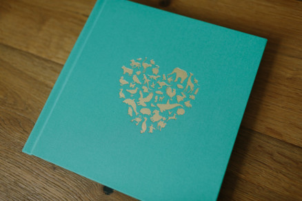 Crafting Your Story – Photo by Let's Frolic Together