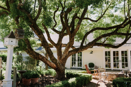Way laid back Wedding in Sonoma – Photo by Let's Frolic Together