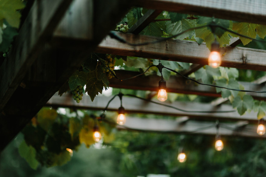 Way laid back Wedding in Sonoma – Photo by Let's Frolic Together