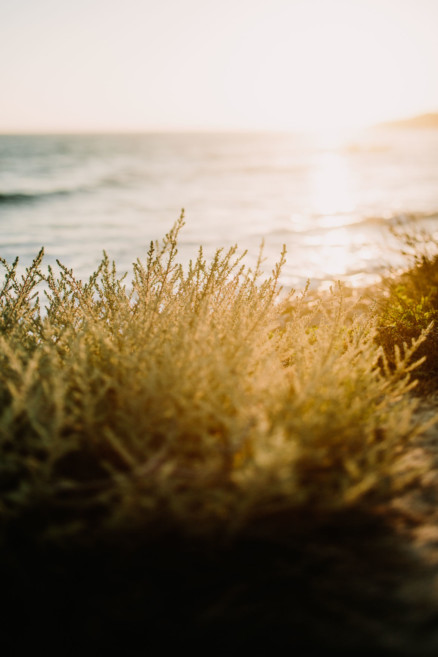 Beach Engagement Magic – Photo by Let's Frolic Together