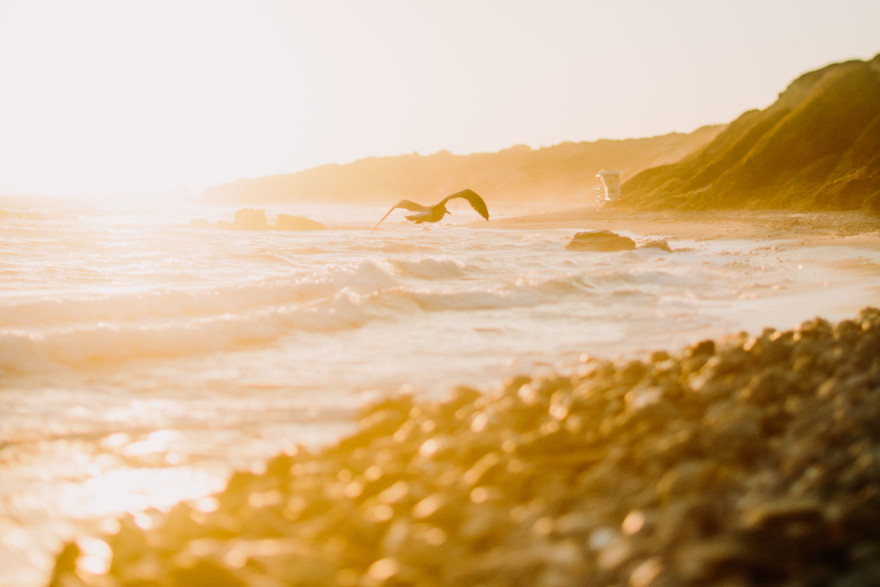 Beach Engagement Magic – Photo by Let's Frolic Together