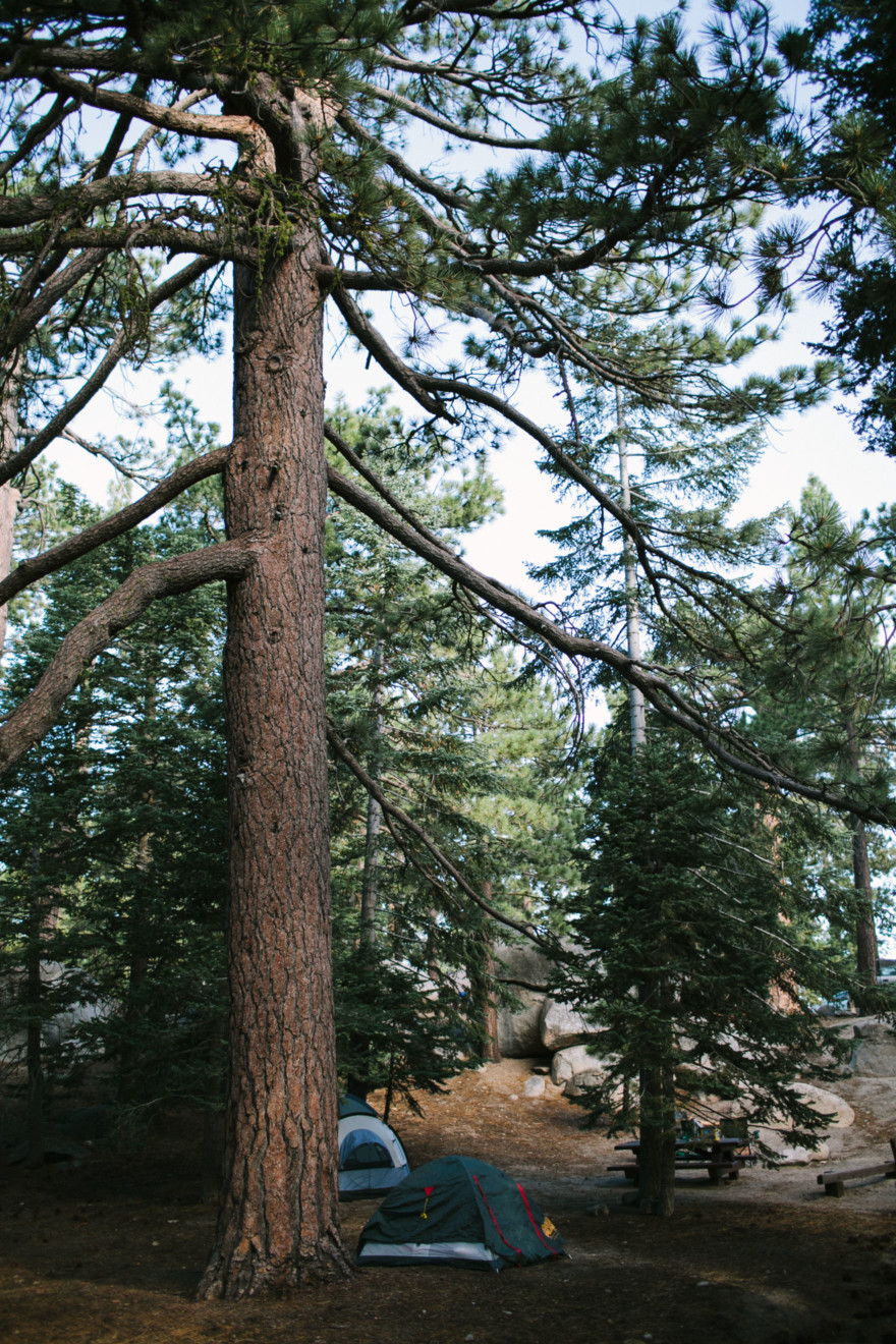 Mountain Camping Magic – Photo by Let's Frolic Together
