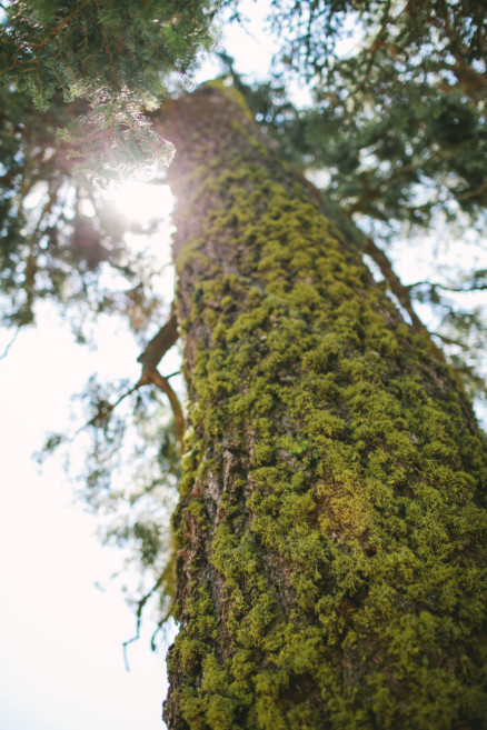 Mountain Camping Magic – Photo by Let's Frolic Together