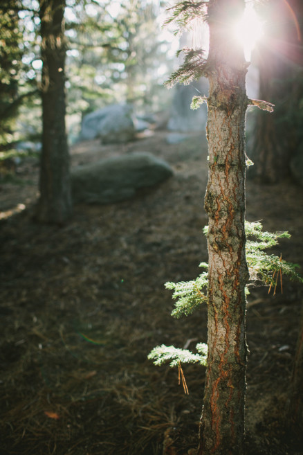 Mountain Camping Magic – Photo by Let's Frolic Together