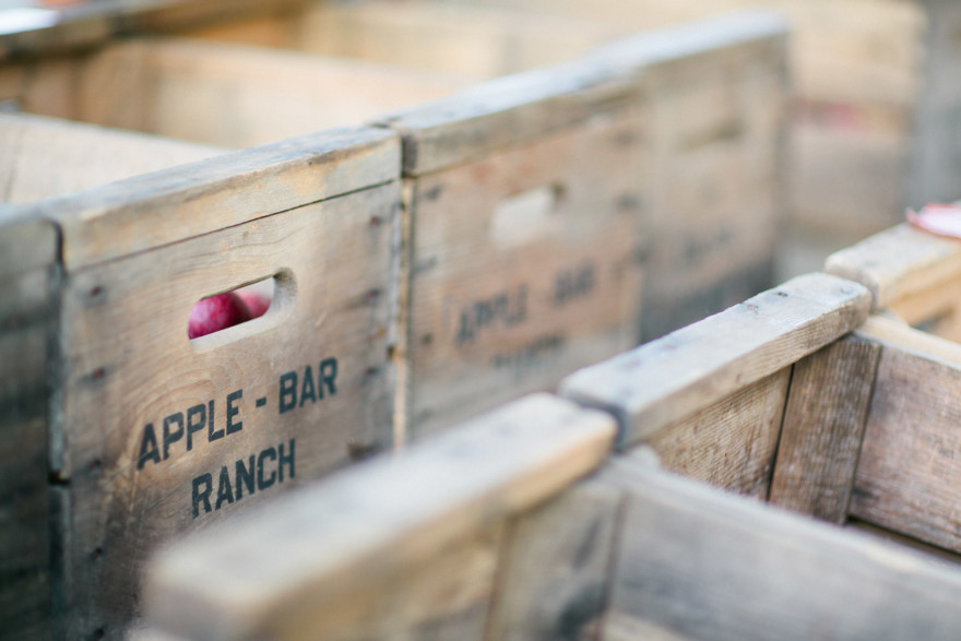 An Autumnal Day at the Orchard – Photo by Let's Frolic Together