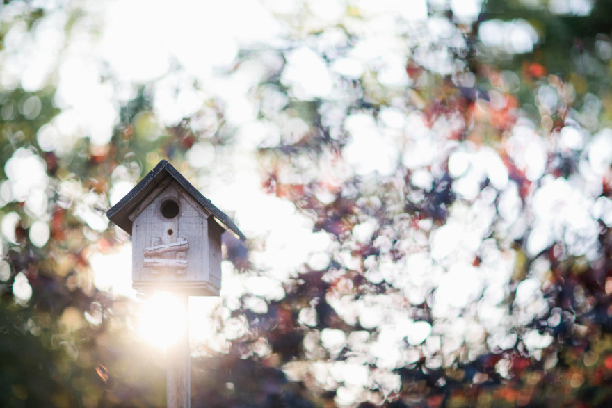 An Autumnal Day at the Orchard – Photo by Let's Frolic Together