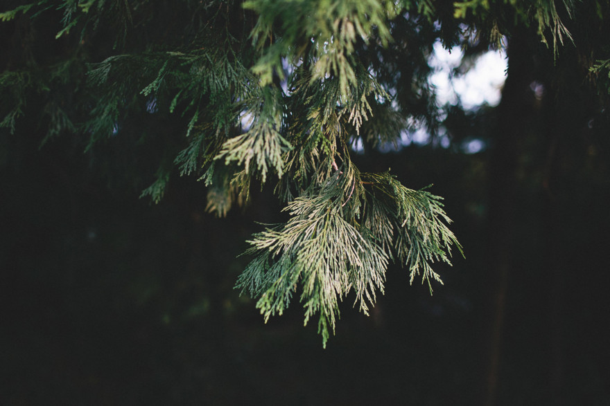 An Autumnal Day at the Orchard – Photo by Let's Frolic Together