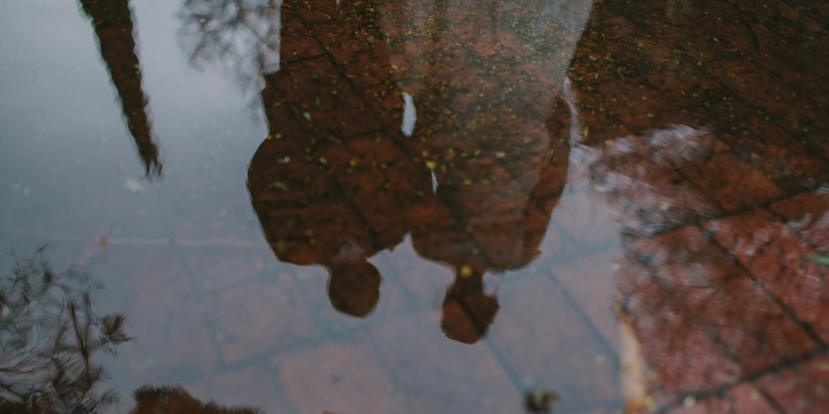Sweet Love in the Orange Groves – Photo by Let's Frolic Together
