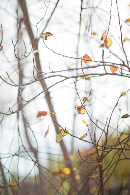 A Rustic Family Adventure – Photo by Let's Frolic Together