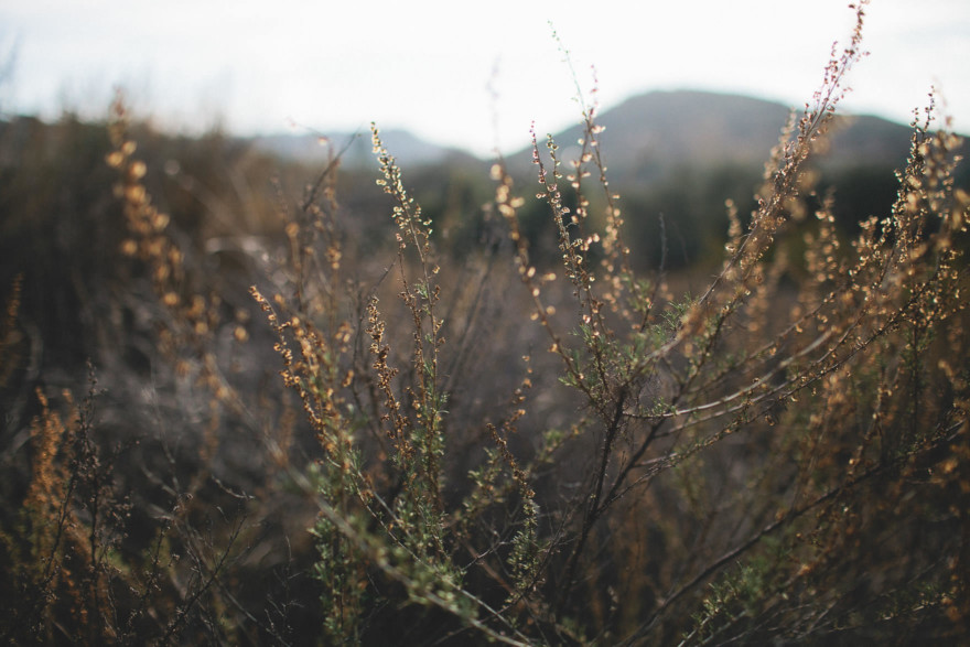 A Rustic Family Adventure – Photo by Let's Frolic Together