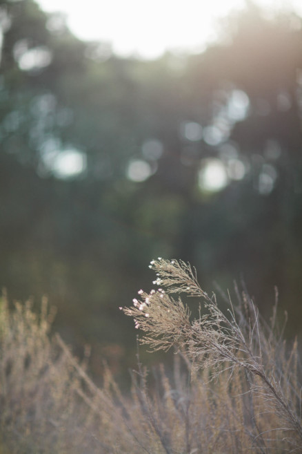 A Rustic Family Adventure – Photo by Let's Frolic Together