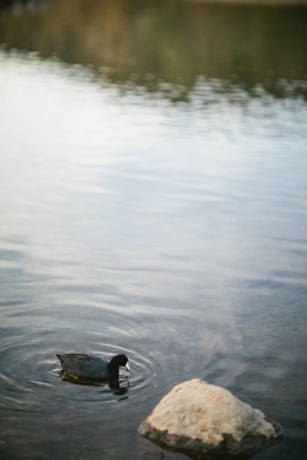 A Rustic Family Adventure – Photo by Let's Frolic Together
