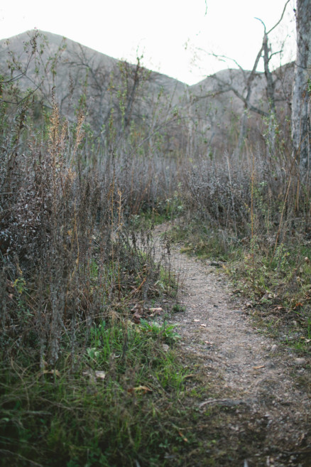 A Rustic Family Adventure – Photo by Let's Frolic Together