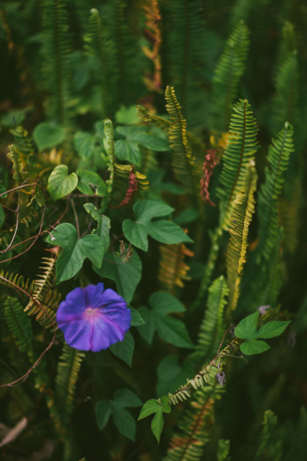 Rustic Bear-Themed San Diego Garden Wedding – Photo by Let's Frolic Together