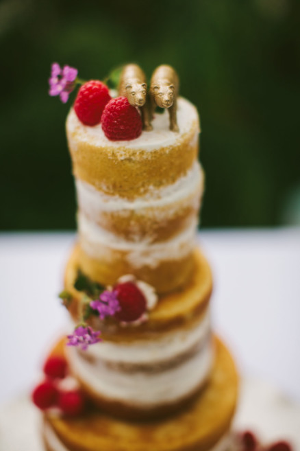 Rustic Bear-Themed San Diego Garden Wedding – Photo by Let's Frolic Together