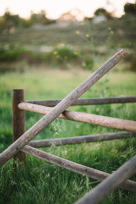 An Evening In The Country With Parents-To-Be – Photo by Let's Frolic Together