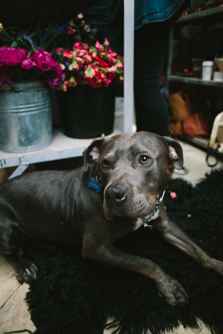 Maker’s Arcade San Diego Craft Fair – Photo by Let's Frolic Together