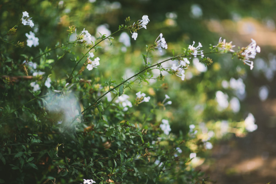 Swings and snuggling in the hilltops of LA – Photo by Let's Frolic Together