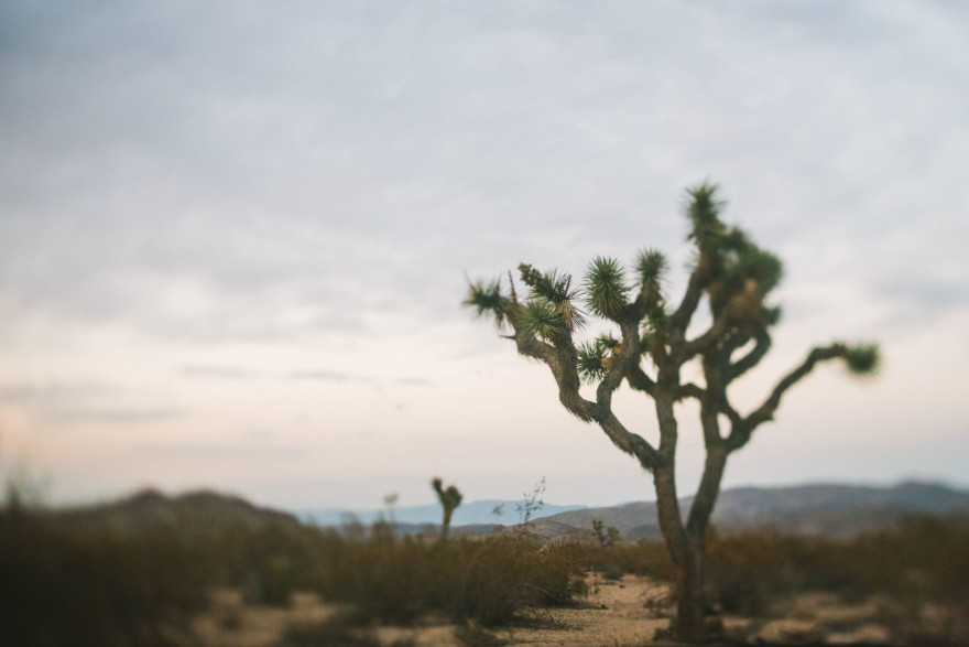 Retro Desert Lovers’ Road Trip – Photo by Let's Frolic Together