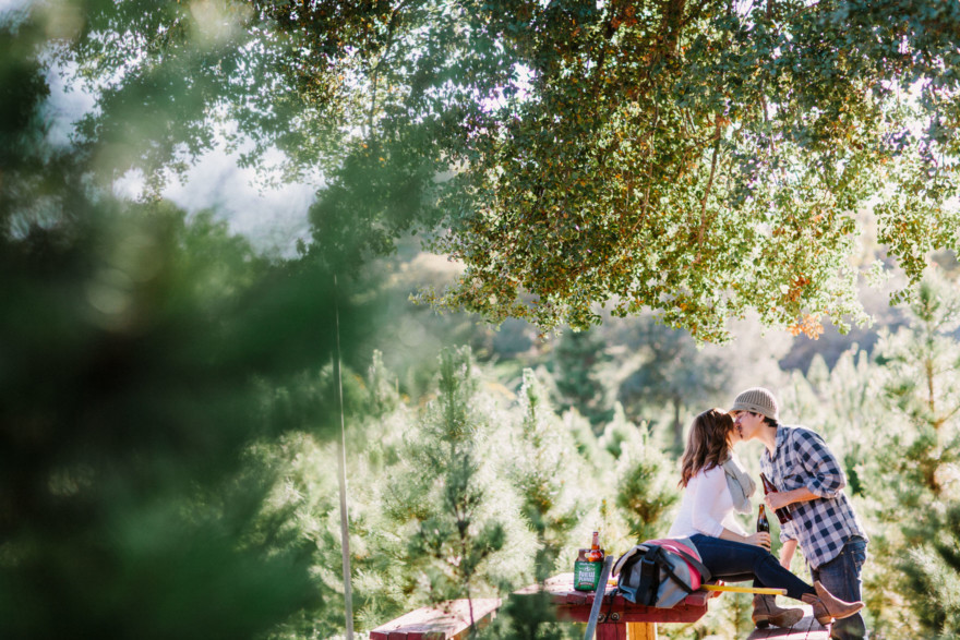 Christmas Trees, Cider, and Coziness – Photo by Let's Frolic Together