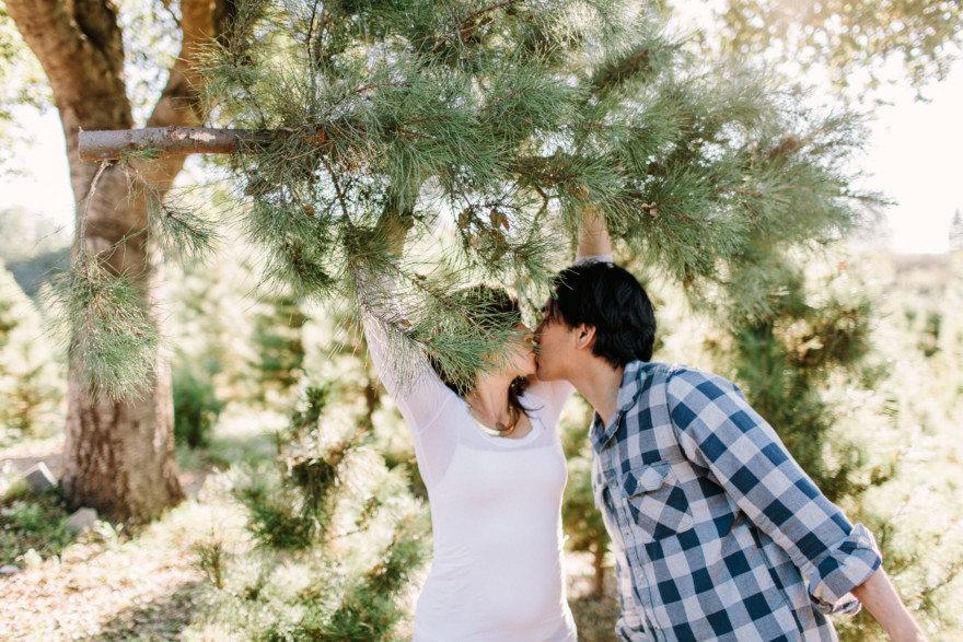 Christmas Trees, Cider, and Coziness – Photo by Let's Frolic Together