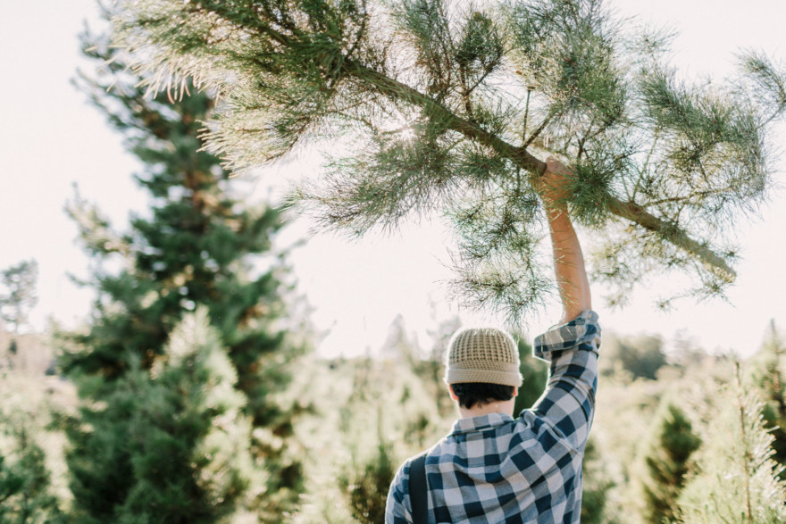 Christmas Trees, Cider, and Coziness – Photo by Let's Frolic Together