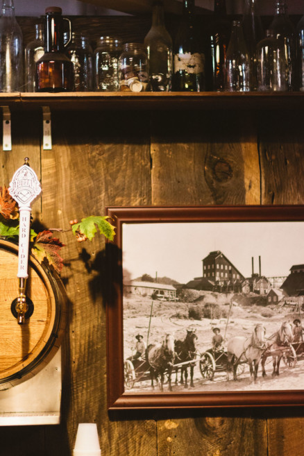 Christmas Trees, Cider, and Coziness – Photo by Let's Frolic Together