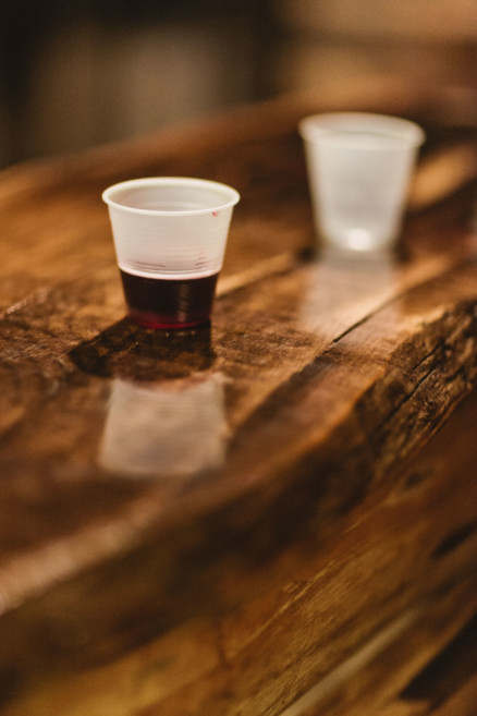 Christmas Trees, Cider, and Coziness – Photo by Let's Frolic Together