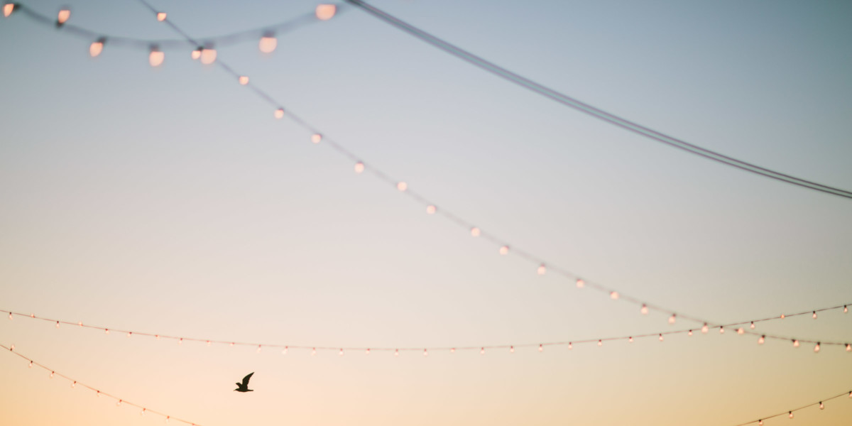 Sunny love at the Broadway Pier – Photo by Let's Frolic Together