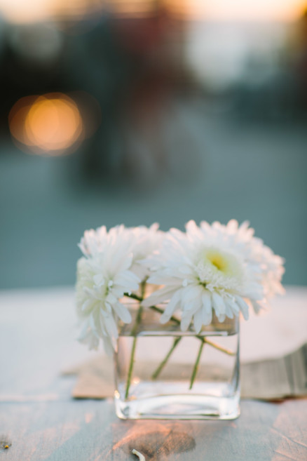 Sunny love at the Broadway Pier – Photo by Let's Frolic Together