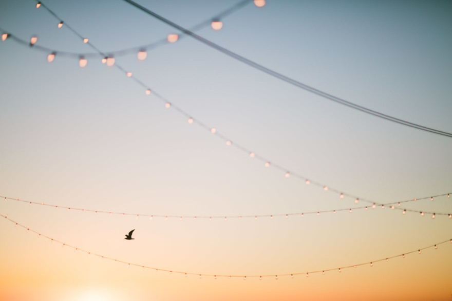 Sunny love at the Broadway Pier – Photo by Let's Frolic Together