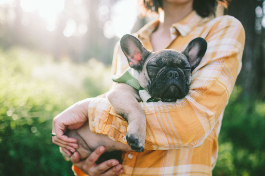 Forest Cuddles With a Frenchie – Photo by Let's Frolic Together