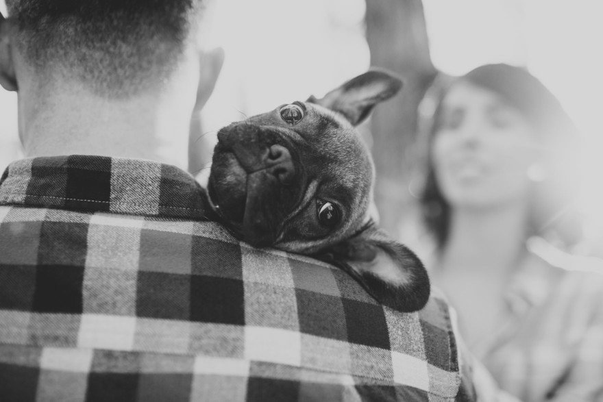 Forest Cuddles With a Frenchie – Photo by Let's Frolic Together