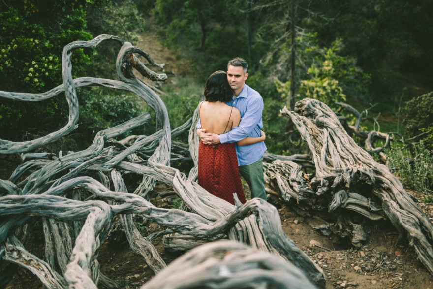 Forest Cuddles With a Frenchie – Photo by Let's Frolic Together