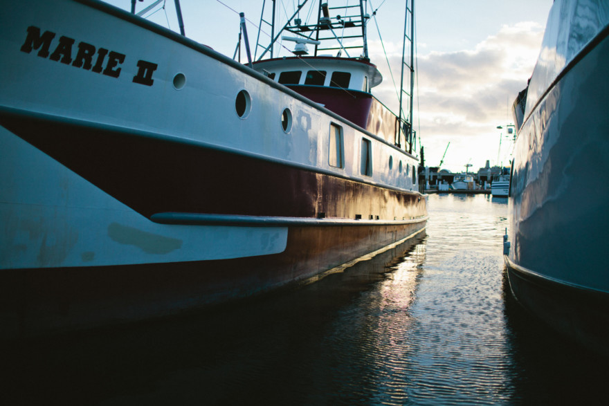 Seaside Love – Photo by Let's Frolic Together