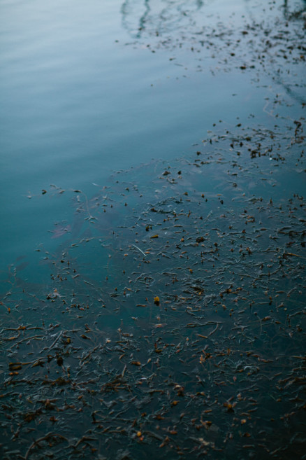Seaside Love – Photo by Let's Frolic Together