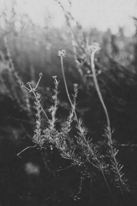 Rustic Wanderings – Photo by Let's Frolic Together