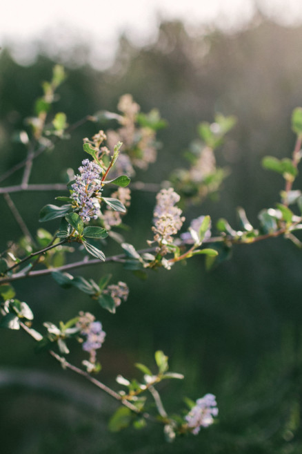 Rustic Wanderings – Photo by Let's Frolic Together