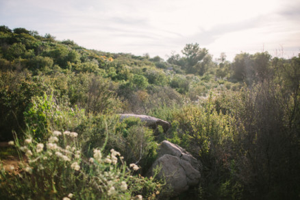 Rustic Wanderings – Photo by Let's Frolic Together
