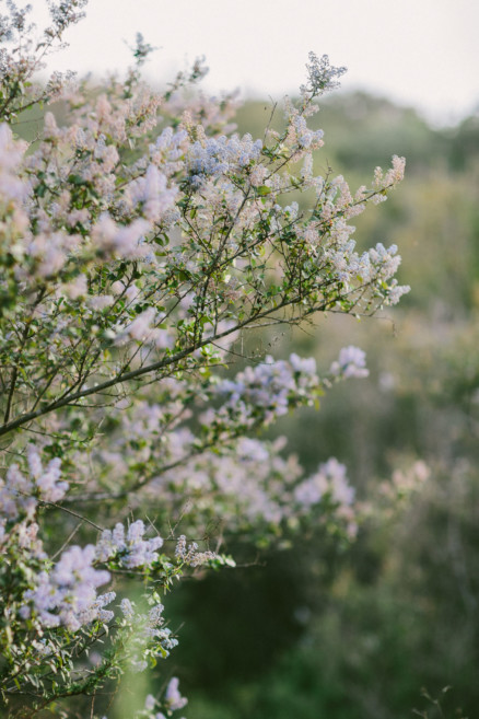 Rustic Wanderings – Photo by Let's Frolic Together