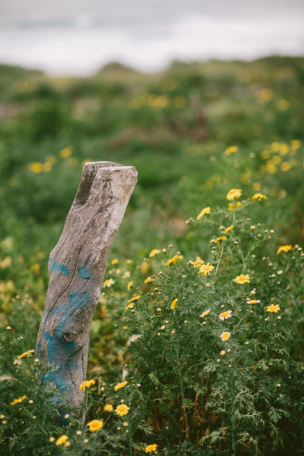 Coastal Engagement Moods – Photo by Let's Frolic Together