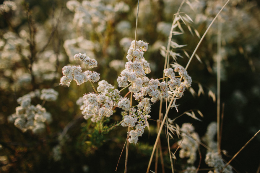 Rustic Snuggles in the Hills – Photo by Let's Frolic Together