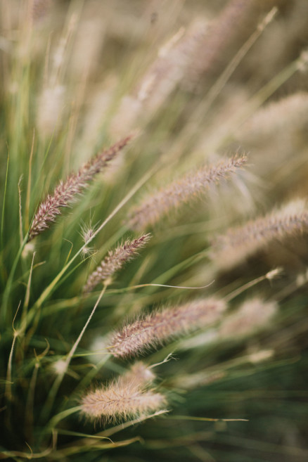Rustic Snuggles in the Hills – Photo by Let's Frolic Together