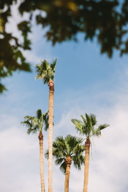 Playful Backyard Phoenix Wedding – Photo by Let's Frolic Together